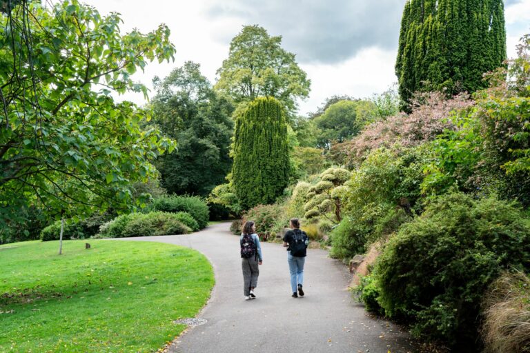 community walk
