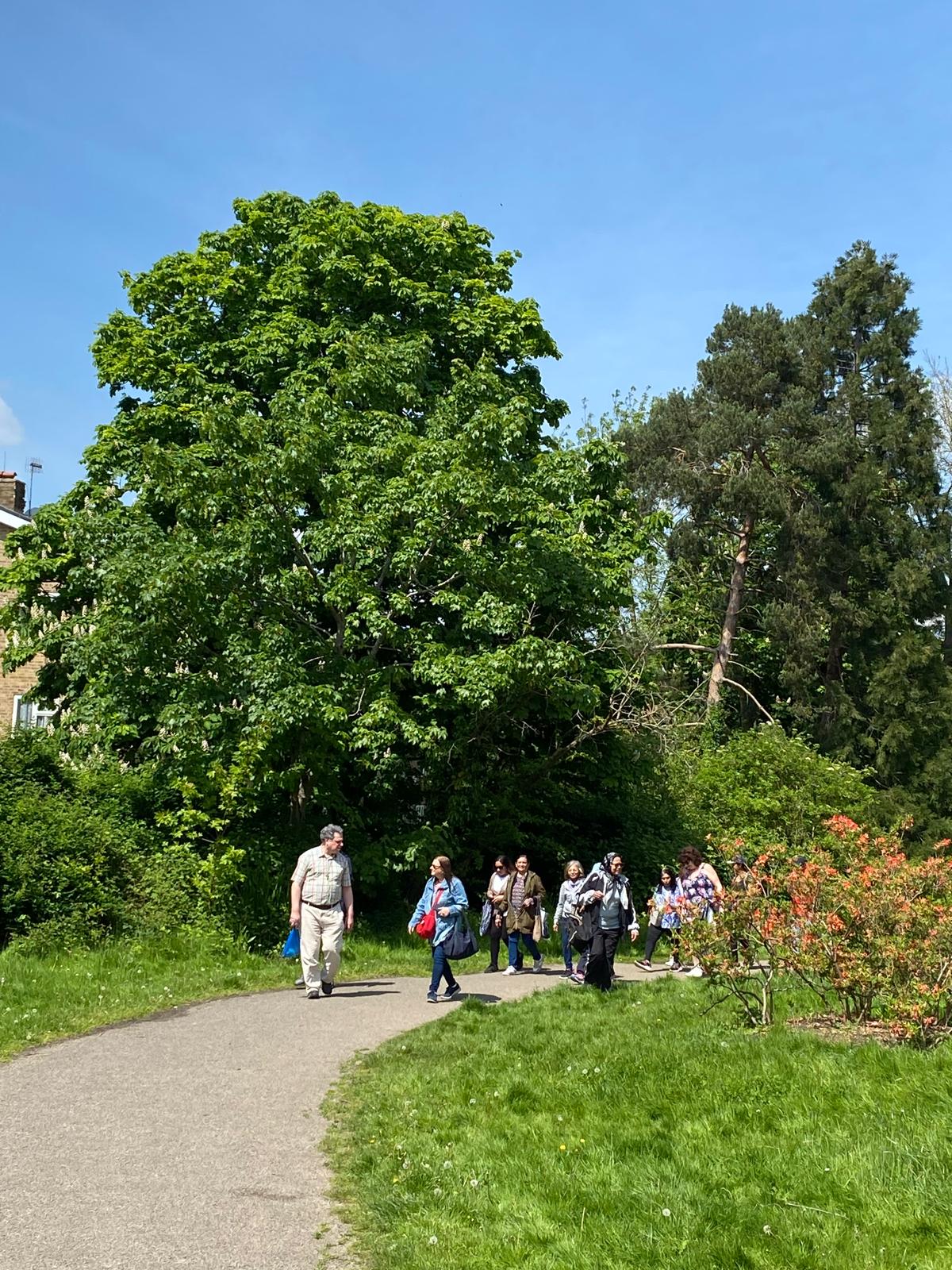 stepping stones courses