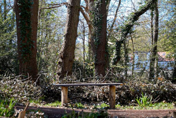 Headstone Scouts Wellbeing Workshop