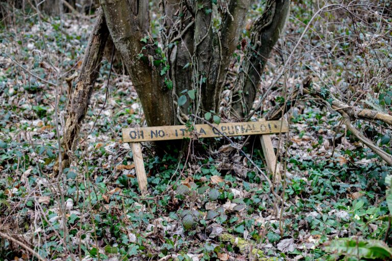 Eastcote House Gardens