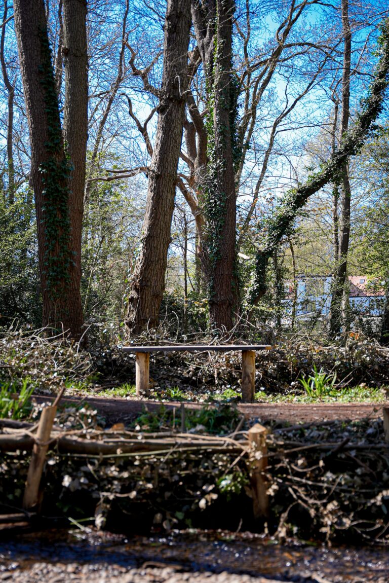 Bentley Priory Nature Reserve